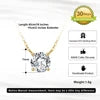 RINNTIN APN Shiny Luxury Fashion Gold Plated 925 Sterling Silver Crystal Zircon Geometric Pendant Necklace for Women Jewelry