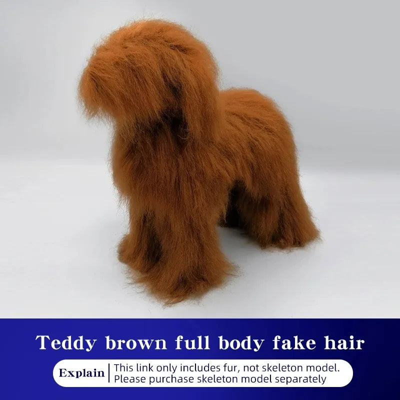 Teddy Dog Pet Simulation Hair Pet Beauty Hair Beauty Whole Body Skeleton Model Pet Simulation Hair For Grooming Practice