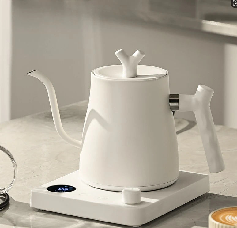 220V Gooseneck Electric Kettle 1L with Temp Control 45-100°C, 304 Stainless Steel Quick Heat, Coffee Tea Brewing