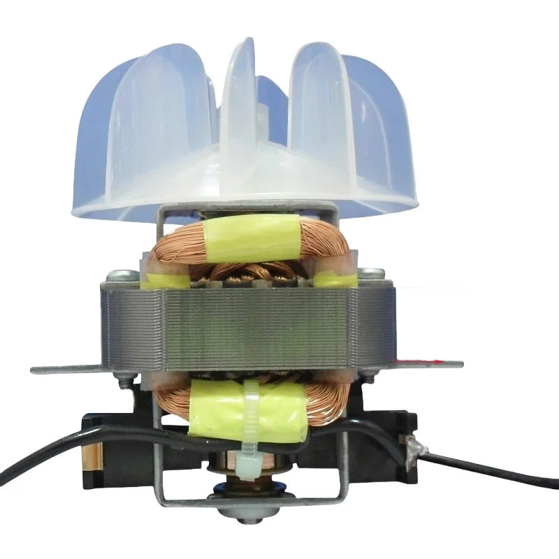 Hair Dryer Motor for Babyliss 6750de hairdryer Hair Salon Professional High Power Dryer Motor with Fan Leaf Hair Dryer Parts
