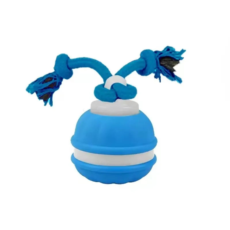 Pet Ball for Dogs Interactive Toys Motion Activate Rolling Ball for Puppy/Small Dogs Automatic Moving Toy USB Rechargeable Toy