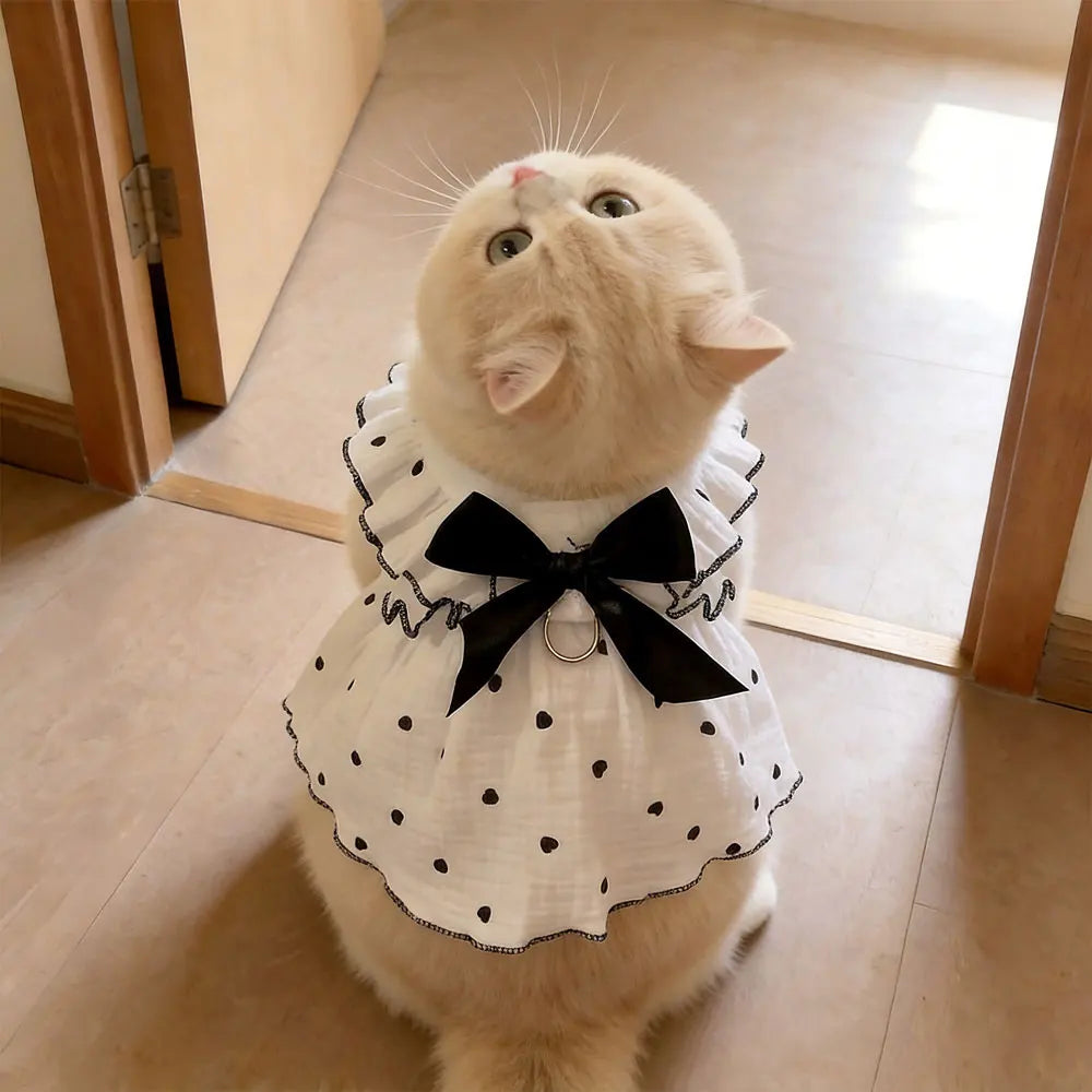 Pet Dresses And Clothing For Dogs And Cats, Including Spring And Summer Outfits For Teddy Bear, Pomeranian, And Pomeranian Rbeed