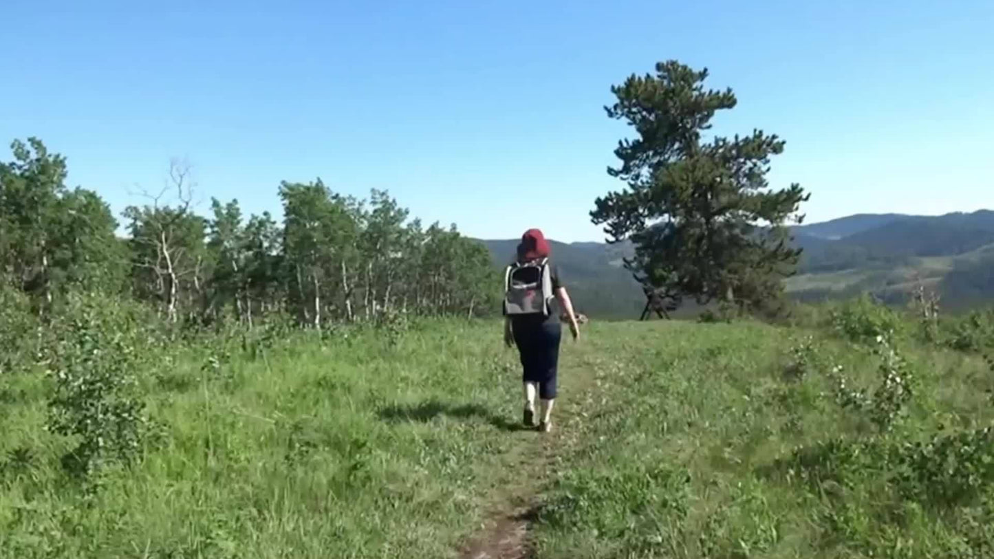 Cozy Traveler Bubble Pet Carrier Backpack - Spacious, Ventilated, and Comfortable for Cats and Small Dogs - Black Color, Durable and Easy to Clean