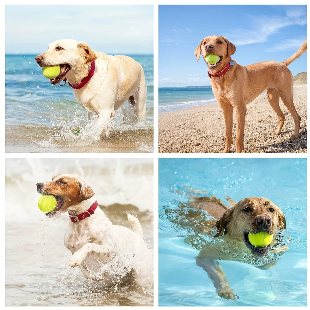 3pcs PrimePets Tennis Balls For Dogs, 2.5 Inch Thick Bouncy Dog Ball, Interactive Dog Toys For Indoor Outdoor, Fetch Balls For M