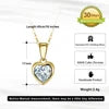 RINNTIN APN Shiny Luxury Fashion Gold Plated 925 Sterling Silver Crystal Zircon Geometric Pendant Necklace for Women Jewelry