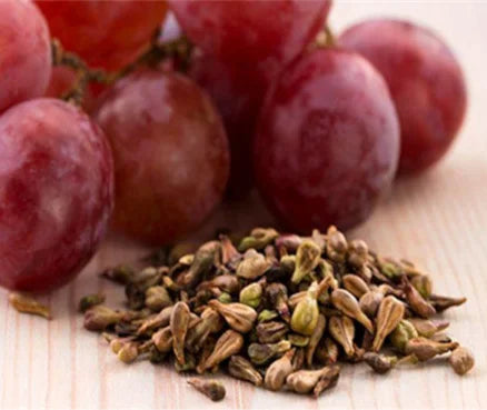 High Quality Proanthocyanidins Polyphenol Organic Pure Natural Dry Black French OPC Grape Seed Extract