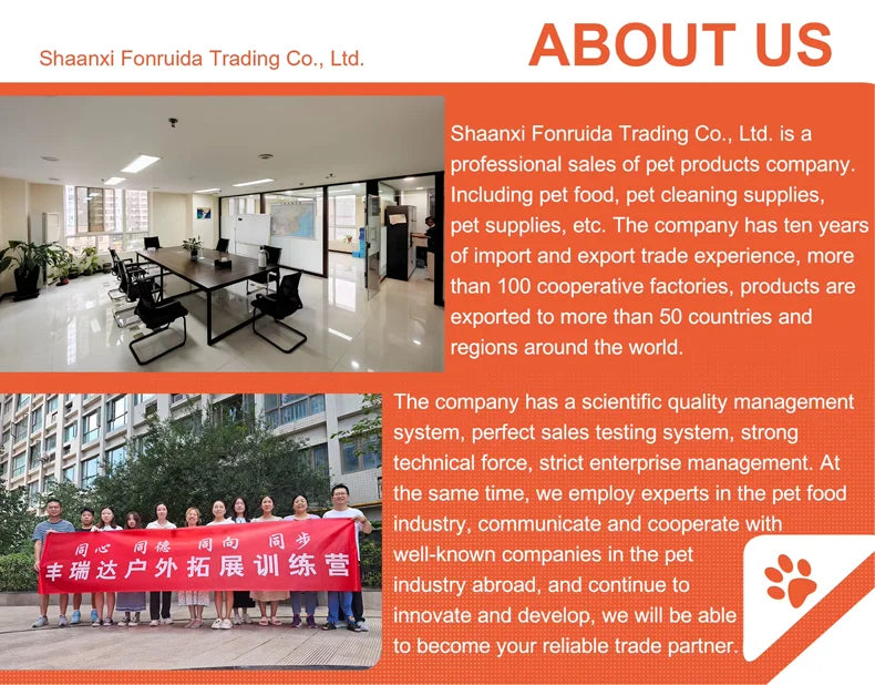 Large Capacity Portable Pet Backpack Adjustable Lightweight Breathable Square Zipper for Outdoor Carrying Pets Made Plastic