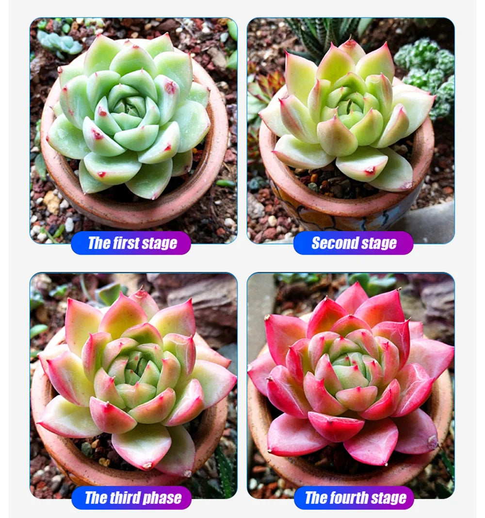 DIYLED Grow Light Dimmable 1500W DOB Full Spectrum Grow Hight PPFD Phytolamp For Flowers Greenhouse grow led Plants Veg Blooming