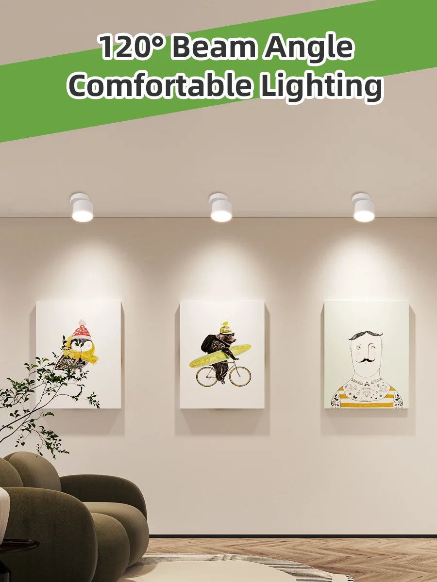 New Design Surface Mounted Highlight GX53 Adjustable Angle Indoor Light Led Cob Downlight/Ceiling Downlights/Down Lamps