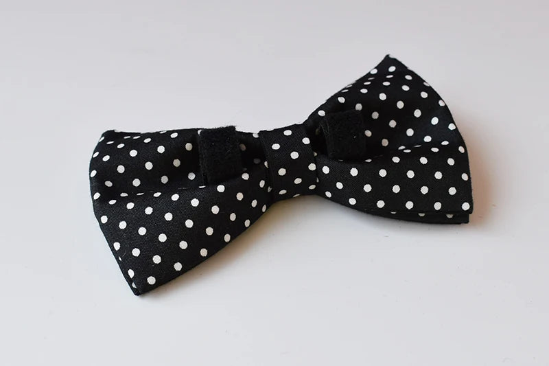 New rose gold metal adjustable buckles bow tie dog collar for small big dog labrador pet puppy collar leash straps Zzkdot 02