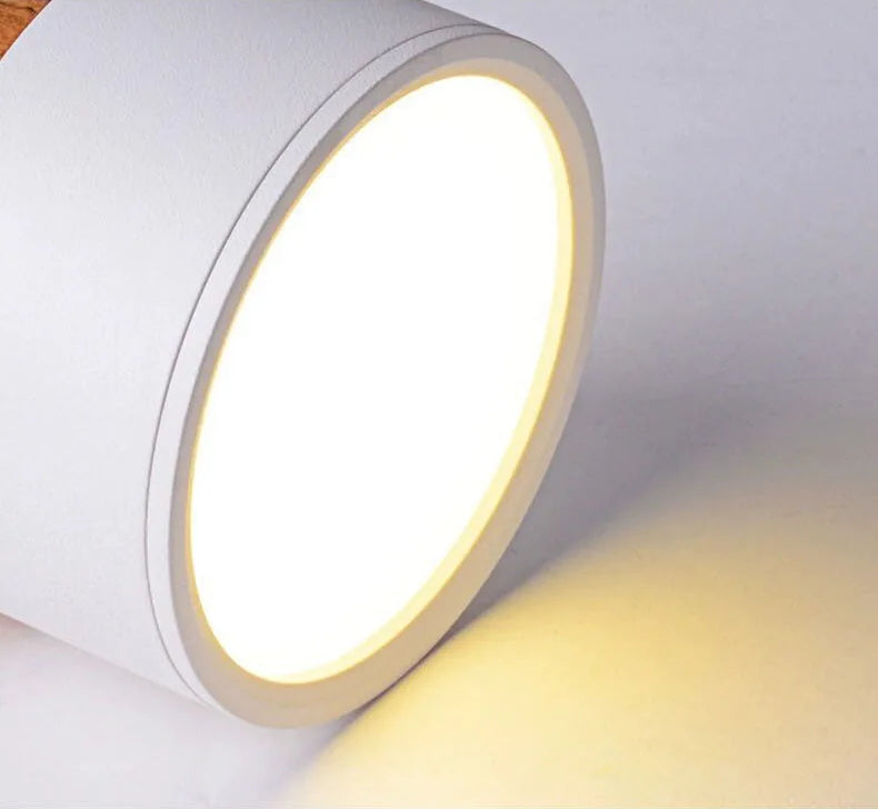 LED Downlight dimmable 5W 7W 9W12W15W Nordic wood modern Led surface mounted ceiling light spotlight, interior decoration light