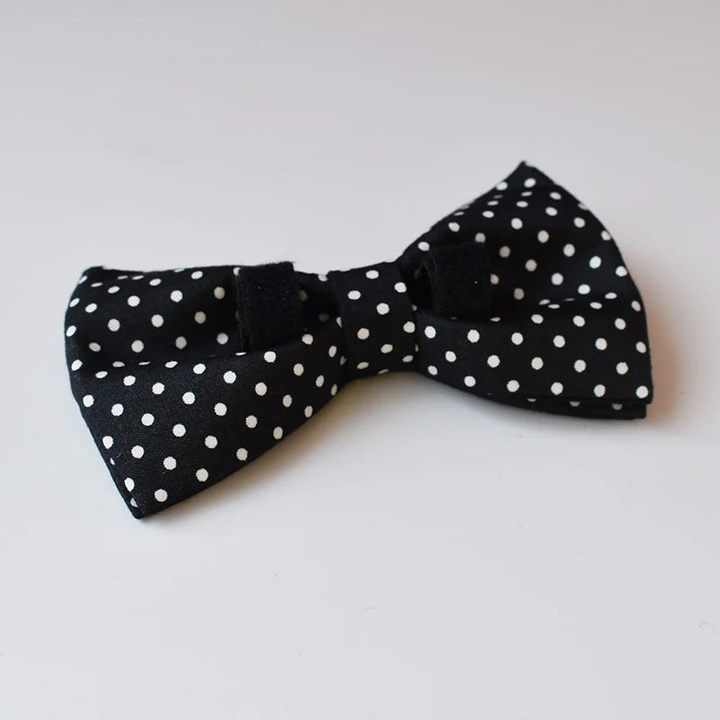 New rose gold metal adjustable buckles bow tie dog collar for small big dog labrador pet puppy collar leash straps Zzkdot 02