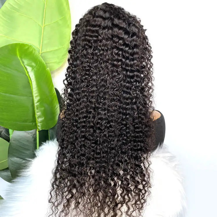 Wigs for Sale Online Black Women Curly Wigs Human Hair 13x4 Lace Front Natural Hair Original Vietnamese Wig Wholesale Aliexpress
