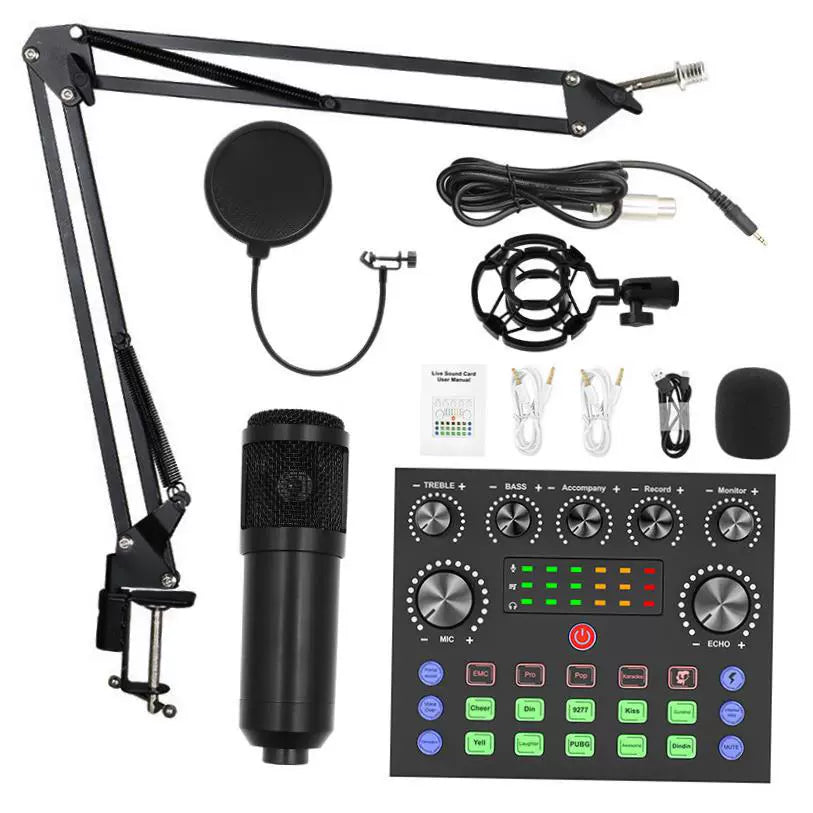 Bm800 Condenser Microphone + V8 Sound Card Computer Recordin