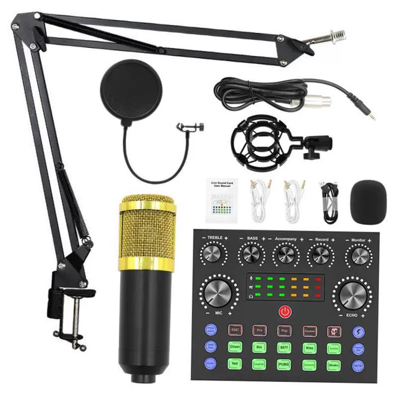 Bm800 Condenser Microphone + V8 Sound Card Computer Recordin