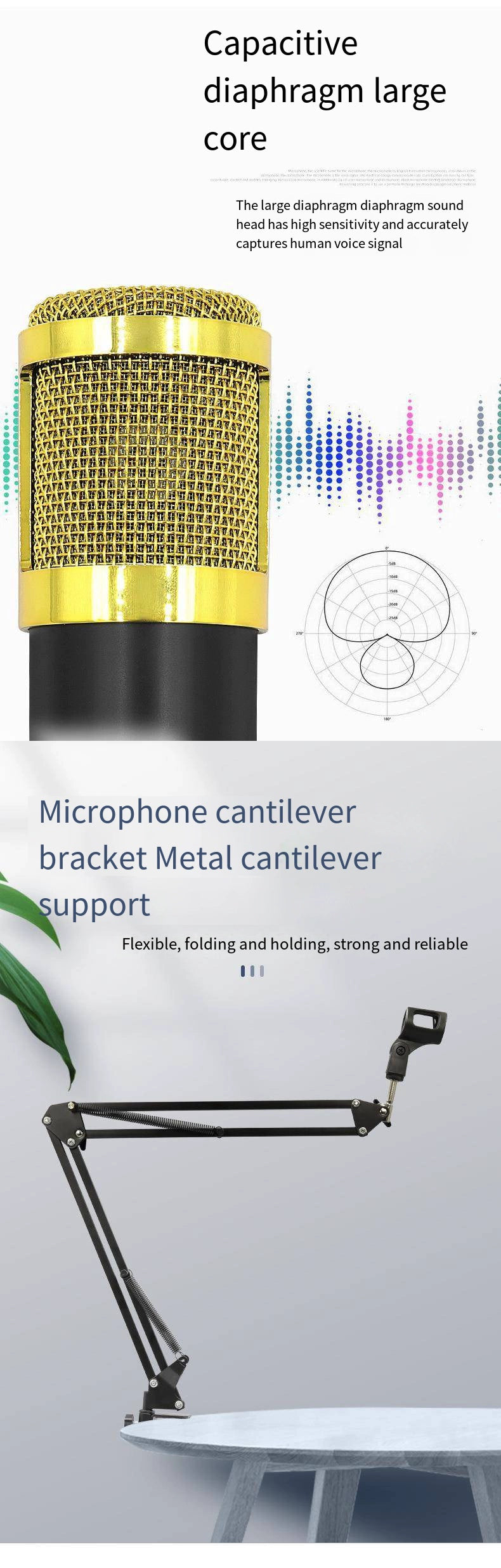Bm800 Condenser Microphone + V8 Sound Card Computer Recordin