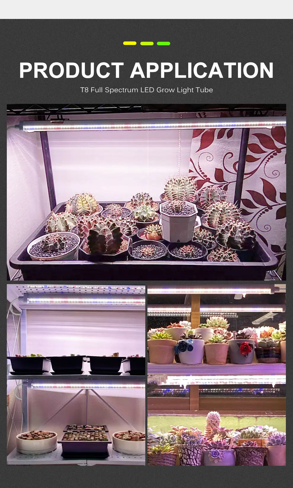 AC85- 265V SMD 2835 Chip T8 Full Spectrum LED Grow Tube Suitable for Plants Fruit Trees Succulents Veg and Bloom LED Grow Light