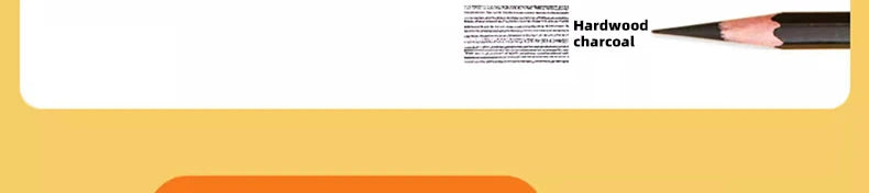 Sketching Pen Set Drawing Kit Student Portable Pen Curtain Charcoal Pencil Sketch Pencil Charcoal Stick Sharpener Eraser Set Box