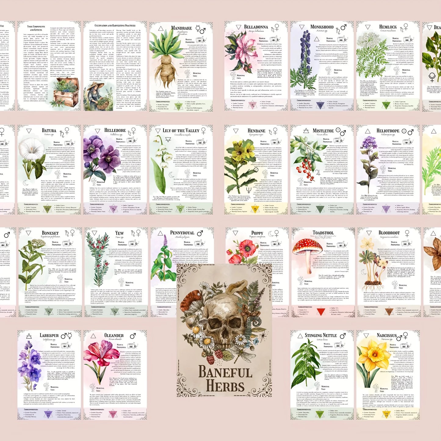 An Ultimate Poison Handbook - Discover the Secrets of Herbs in This Beautiful Set, Featuring Plant Illustrations, Herbal Healing