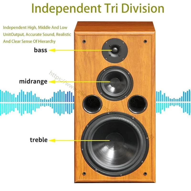 200W 8Ohm Hifi Bookshelf Speaker High School Low Bass Silk Film Tweeter F109 Fever Passive Speakers 10 Inch Monitor Sound Box