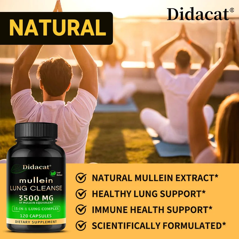 Mullein Leaf Extract Supplement Vitamin C Mineral Lung Cleansing Immune System Support 120 Capsules Health Supplement
