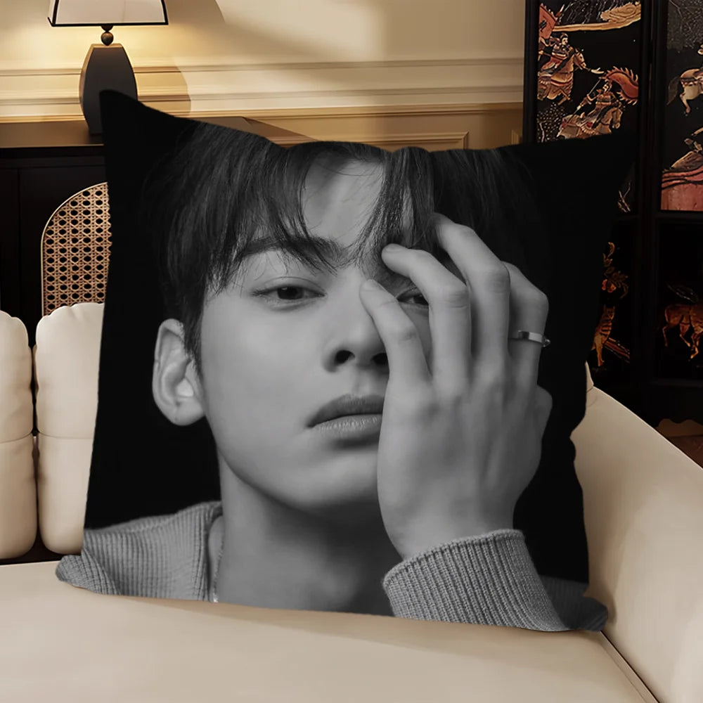 Korea Singer C-Cha Eun Woo Cushion Cover Sofa Living Room Bedroom Headboard Backrest Cushion Square Cushion Nap Time Pillow Case