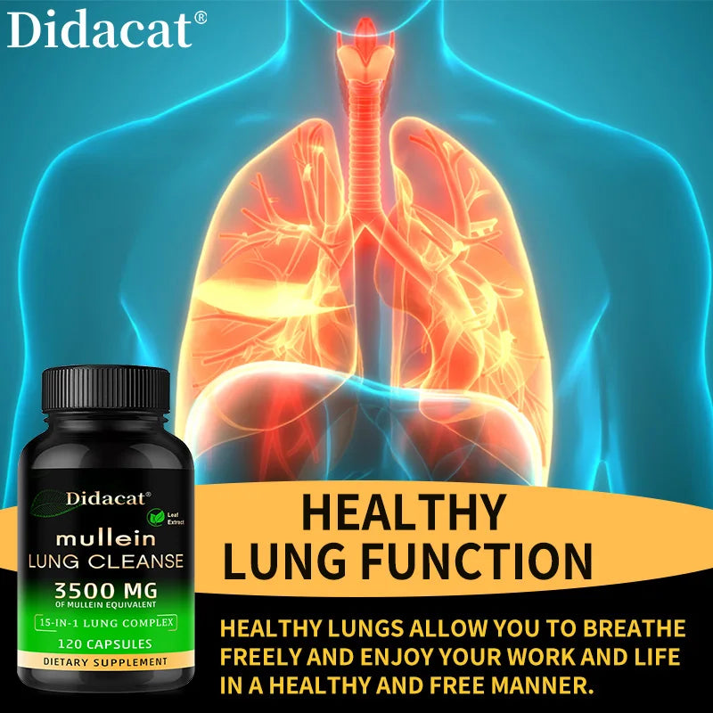 Mullein Leaf Extract Supplement Vitamin C Mineral Lung Cleansing Immune System Support 120 Capsules Health Supplement