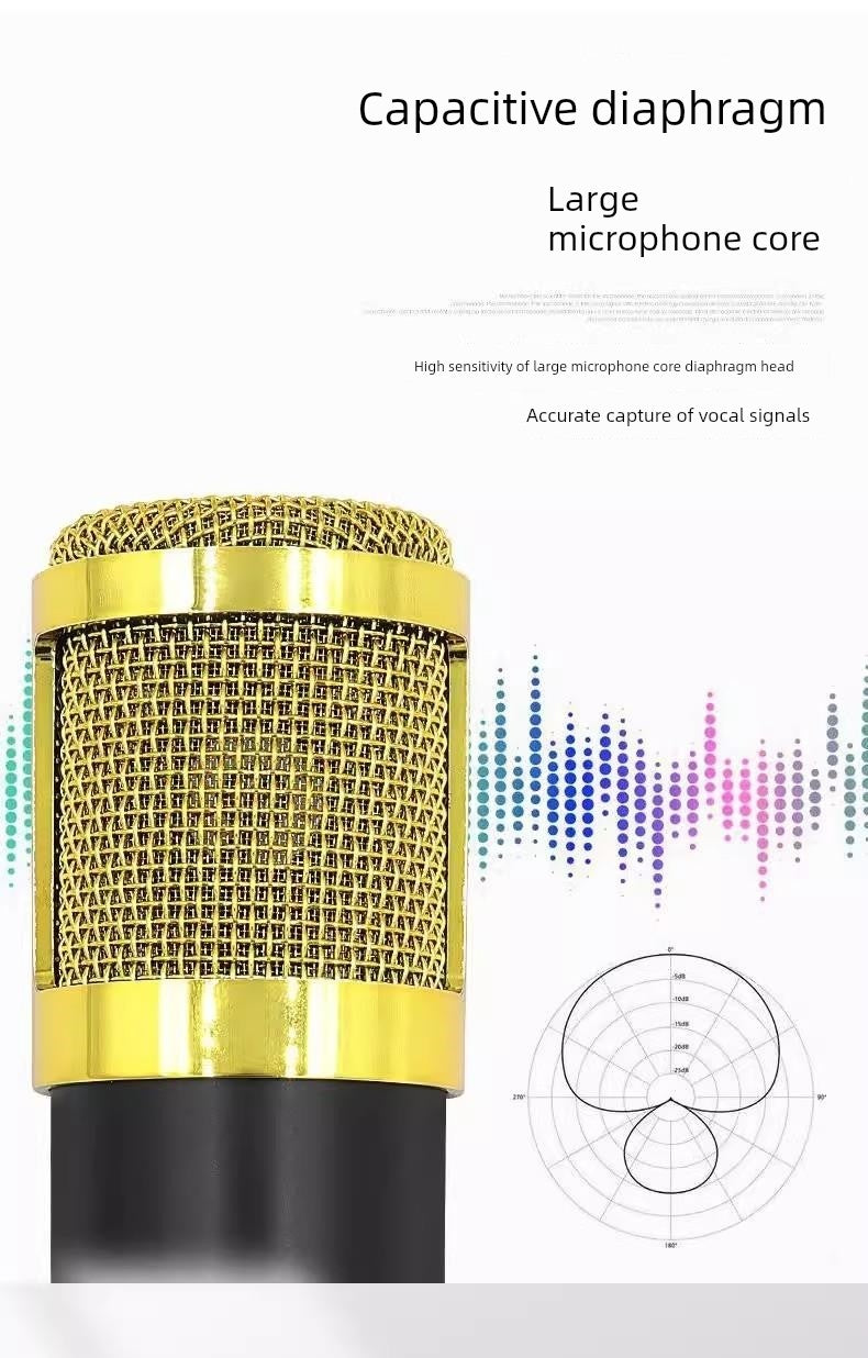 Bm800 Condenser Microphone + V8 Sound Card Computer Recordin