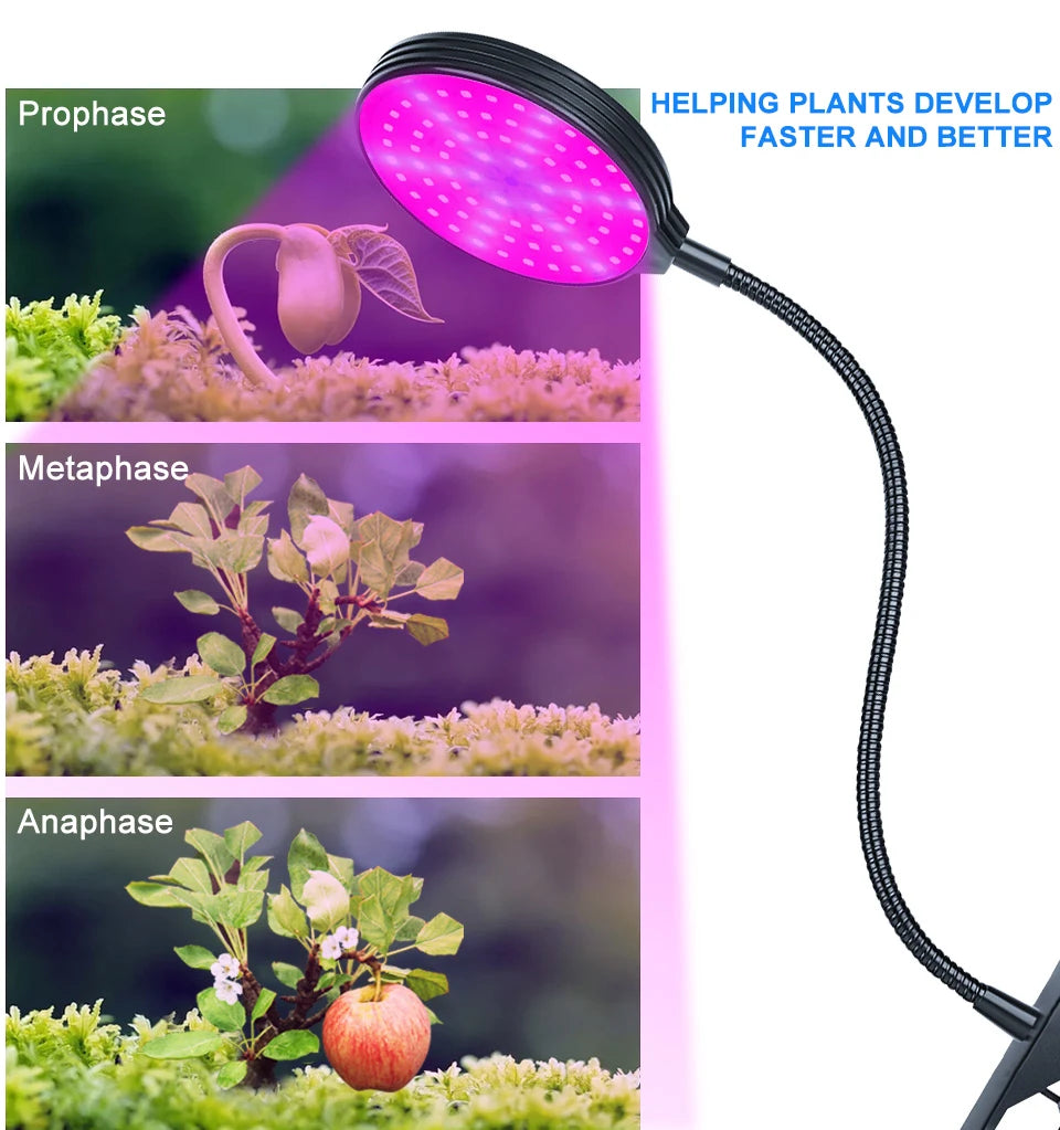 Full Spectrum LED Grow Light USB Plant Fill Lamp 5V Dimmable Timing Auto On/Off Indoor  Seeds Hydroponics Vegs Cultivation Lamps