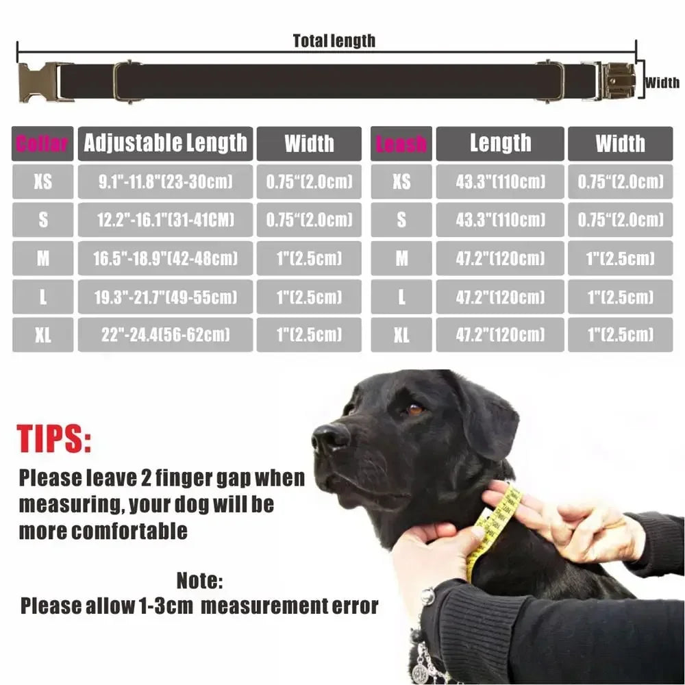 Personalized Dog Collar Customized Pet Collar Free Engraving ID Nameplate Tag Pet Dalmatians Black Dot Puppy Collars Leash