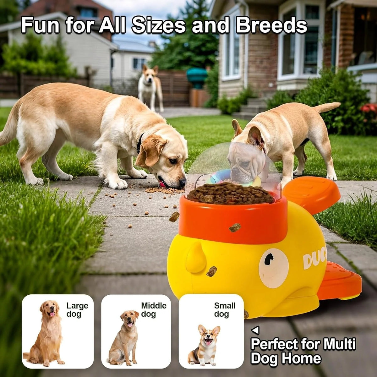 Interactive Pet Toys, Slow Feeders, Cat Snack Dispensers, Various Toys Suitable for Small and Medium-Sized Dogs and Cats