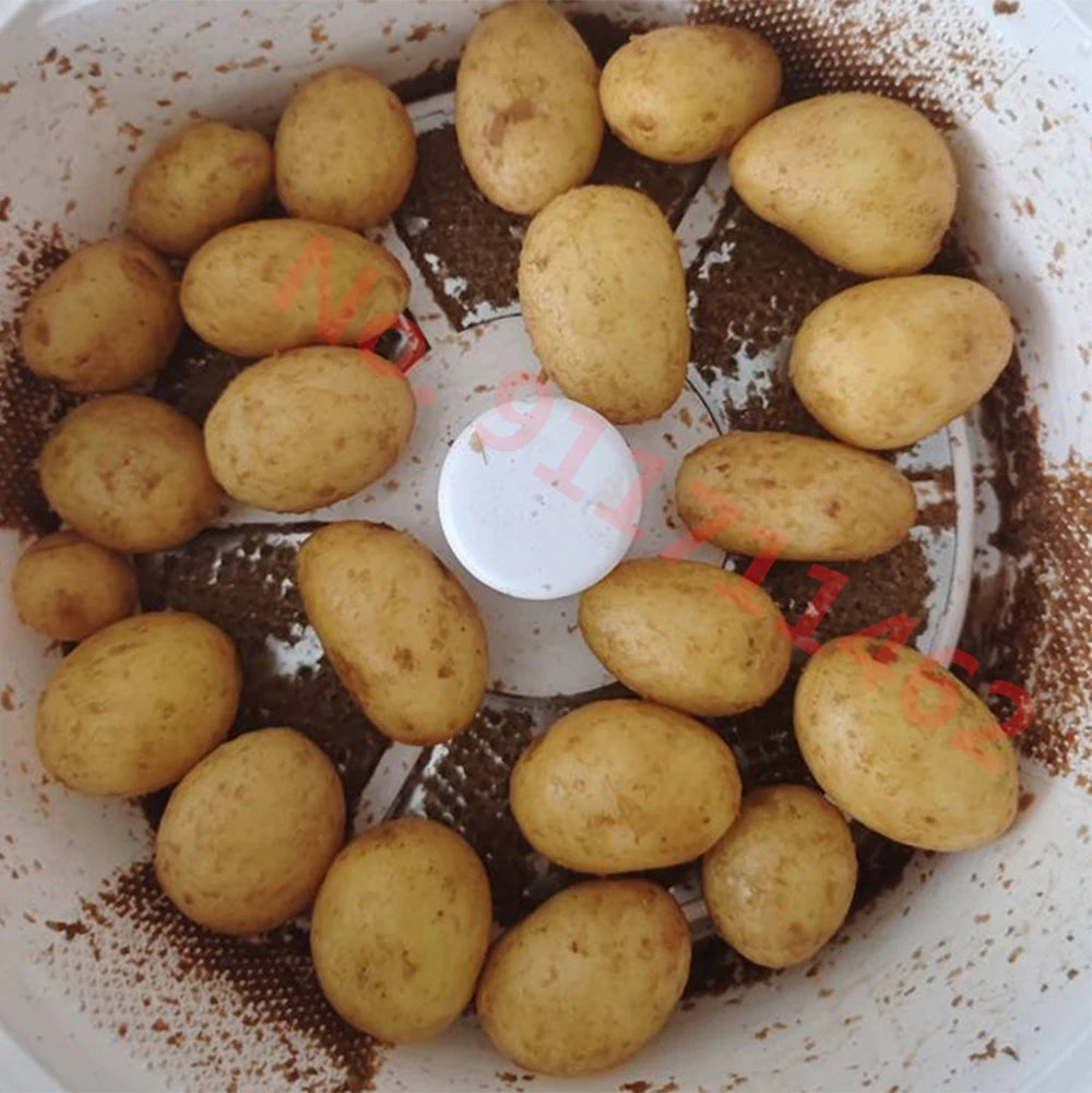 Home Electric Potato Peeling Portable Potato Peeler Vegetable Dehydrator Kitchen Tool EU Plug US Plug
