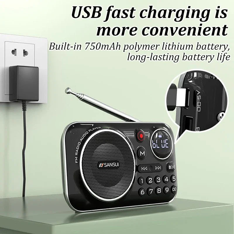 SANSUI F21 Outdoor Portable Multifunctional Walkman FM Radio Bluetooth Speaker MP3 Music Player Supports Recording Headphones