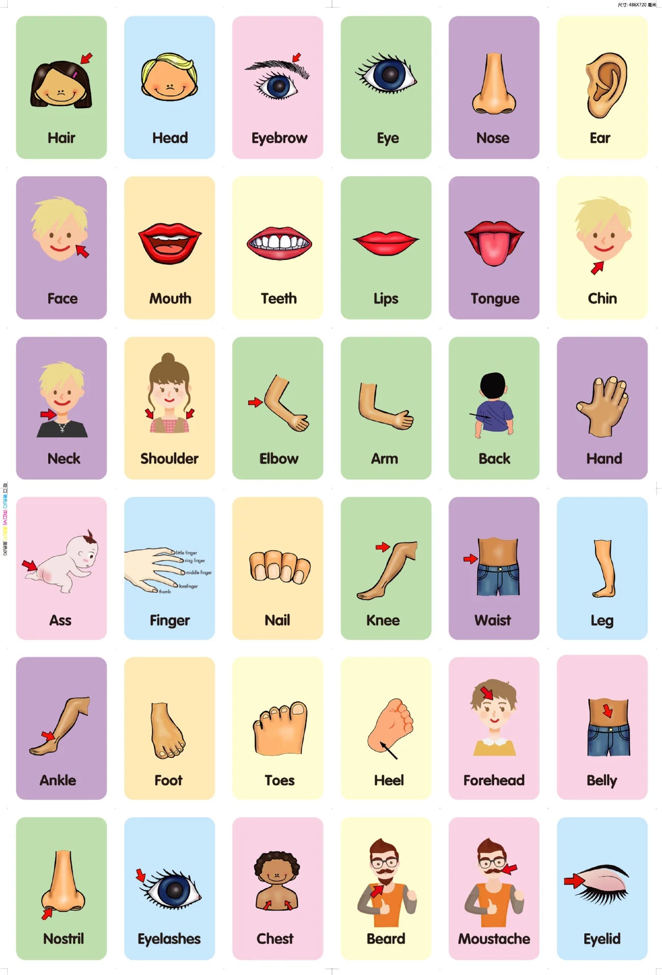 36Pcs Kids Cognition Card Shape Animal Color Teaching Baby English Learning Word Card Education Toys Montessori Material Gift