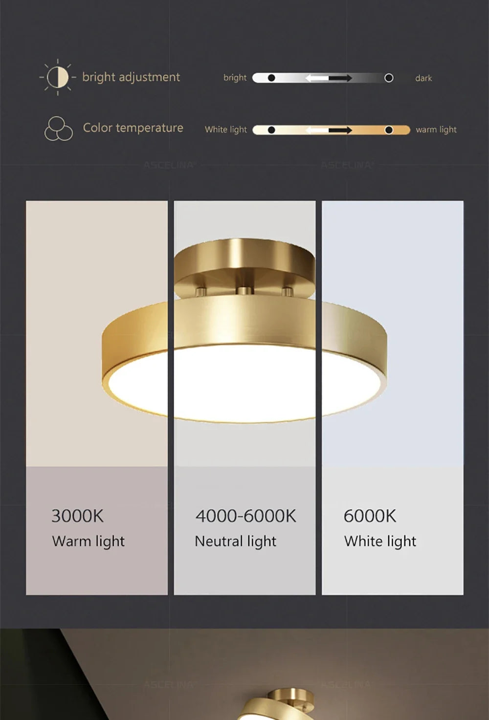 LED Ceiling Light Modern Rotatable Lamp For Corridor Bedroom Living Room Restaurant Indoor Home Decor Round Illumination Fixture