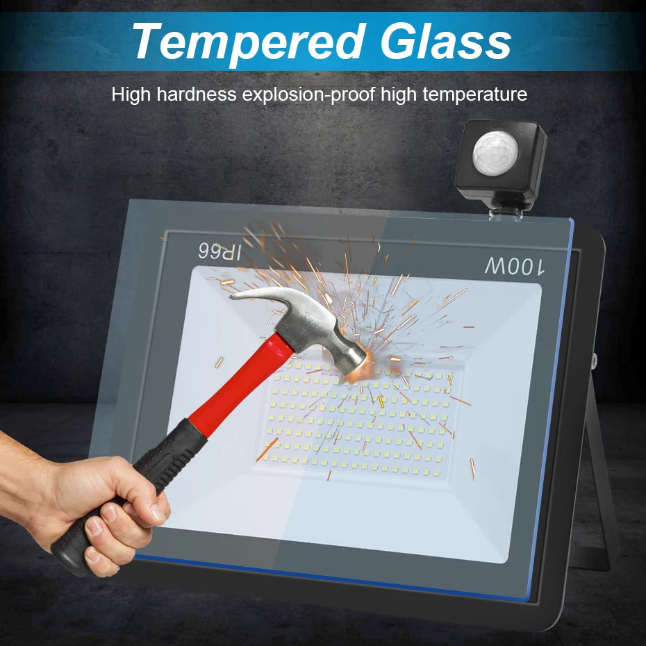 Outdoor LED Floodlight PIR Sensor 10W 20W 30W 50W 100W Cold White IP66 AC220V Garden/Street Reflector Spotlight with IR Remote