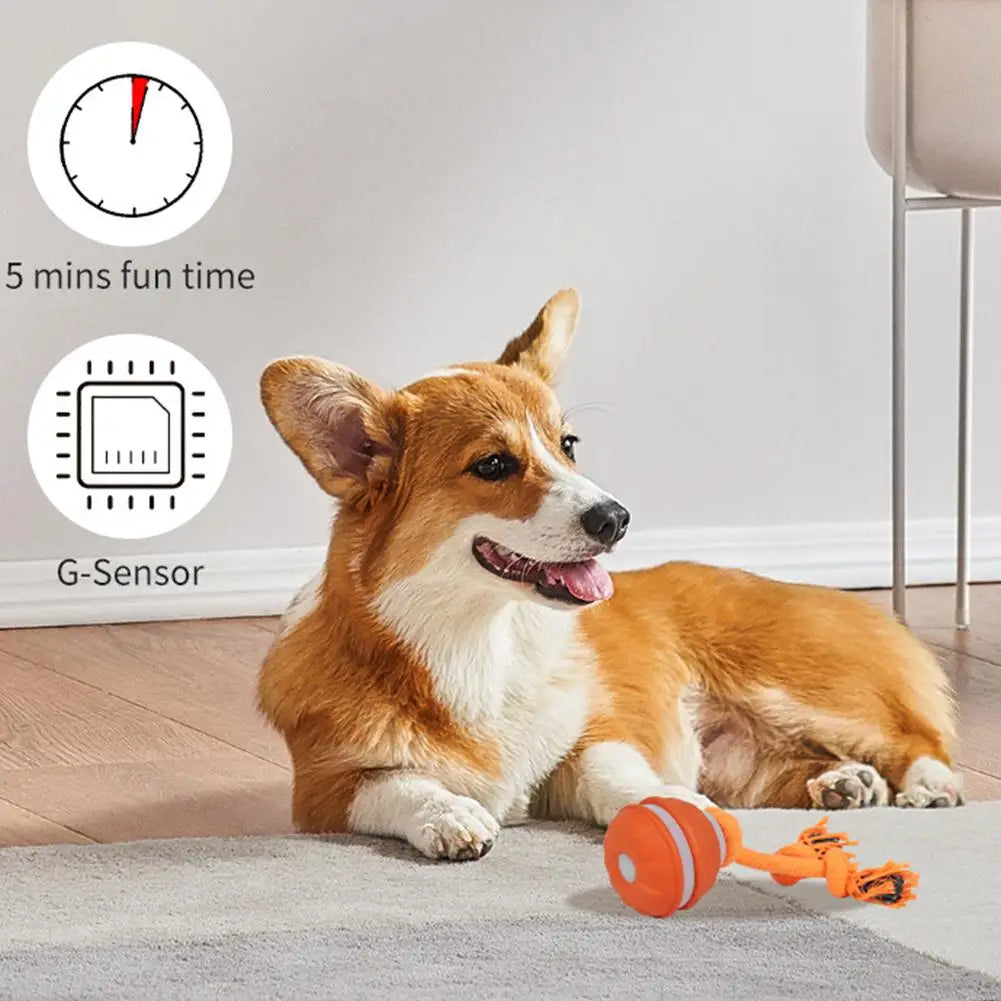 Pet Ball for Dogs Interactive Toys Motion Activate Rolling Ball for Puppy/Small Dogs Automatic Moving Toy USB Rechargeable Toy