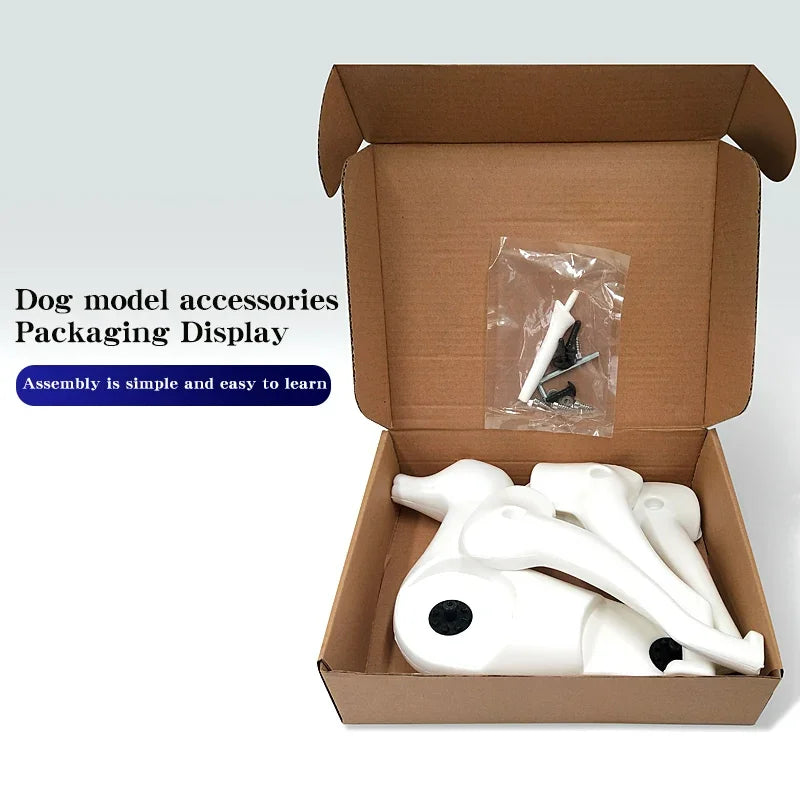 Teddy Dog Pet Simulation Hair Pet Beauty Hair Beauty Whole Body Skeleton Model Pet Simulation Hair For Grooming Practice