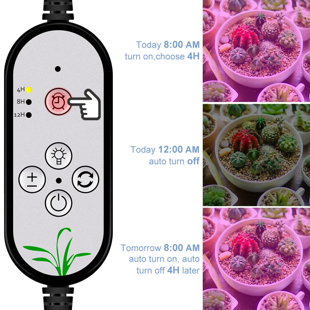 Full Spectrum LED Grow Light USB Plant Fill Lamp 5V Dimmable Timing Auto On/Off Indoor  Seeds Hydroponics Vegs Cultivation Lamps