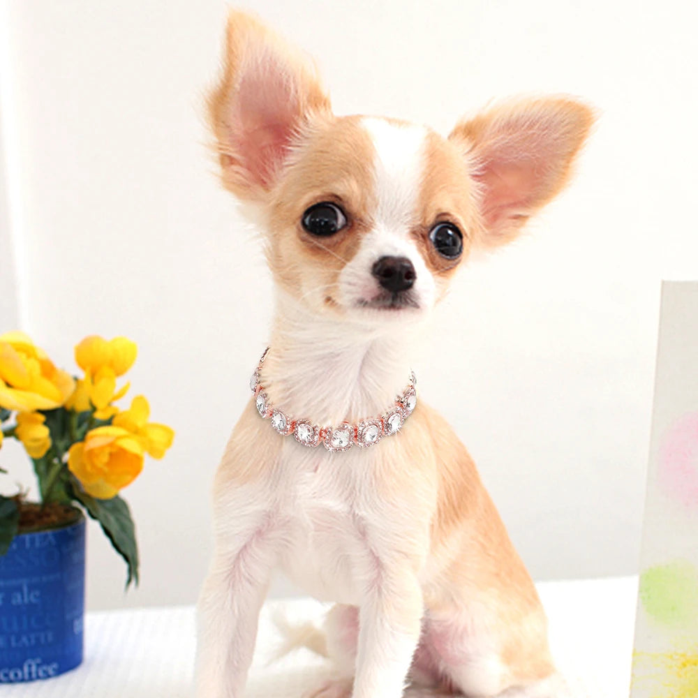 Luxury Pet Necklace Cat Dog Collar With Diamond Bling Jewelry Metal Crystal Rhinestone Dogs Cats Chihuahua Collars Supplies