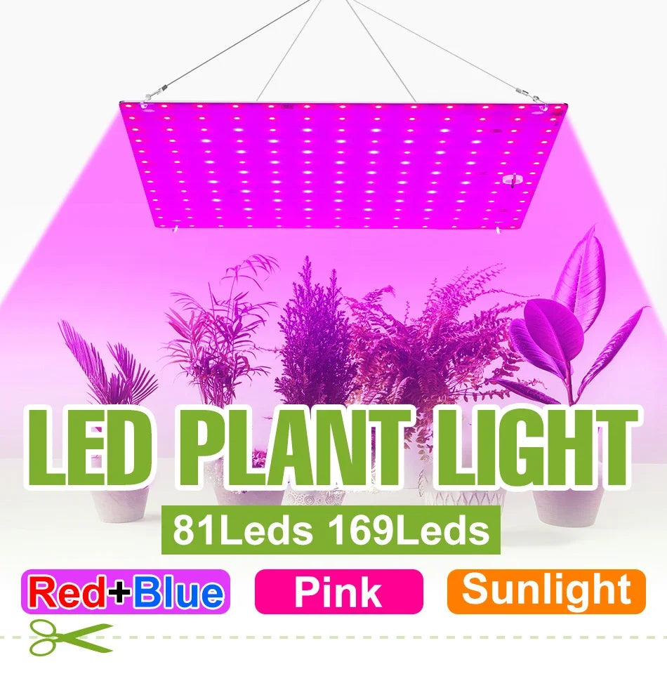 100W 50W LED Full Spectrum Indoor Grow Light Quantum Plate Plant Lamp Greenhouse Flower Succulents Potted Cultivation US/EU Plug