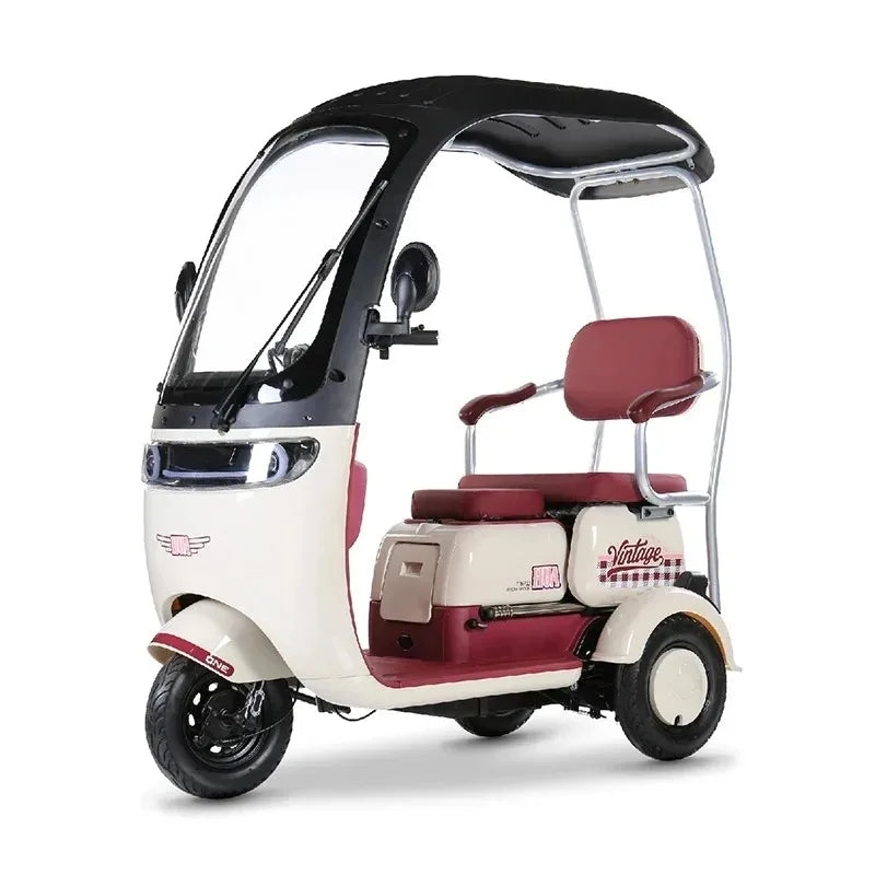 3 Wheels 1000W Electric Scooter Electric Tricycle Small Mobility Scooters Electric Ebike For Adults