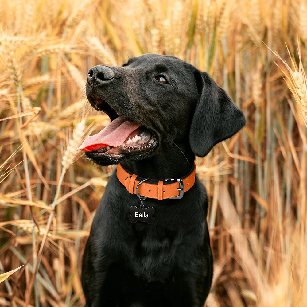 Soft Padded Dog Collar PU Leather Dogs Collars Adjustable For Small Medium Large Dogs Beagle Collar Pitbull Bulldog Chihuahua