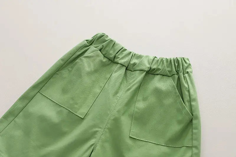 Summer Casual Newborn Baby Boys Toddler Big Dinosaure Short Sleeve Tops Pants 2Pcs/set Cotton Kids Outfits Clothing