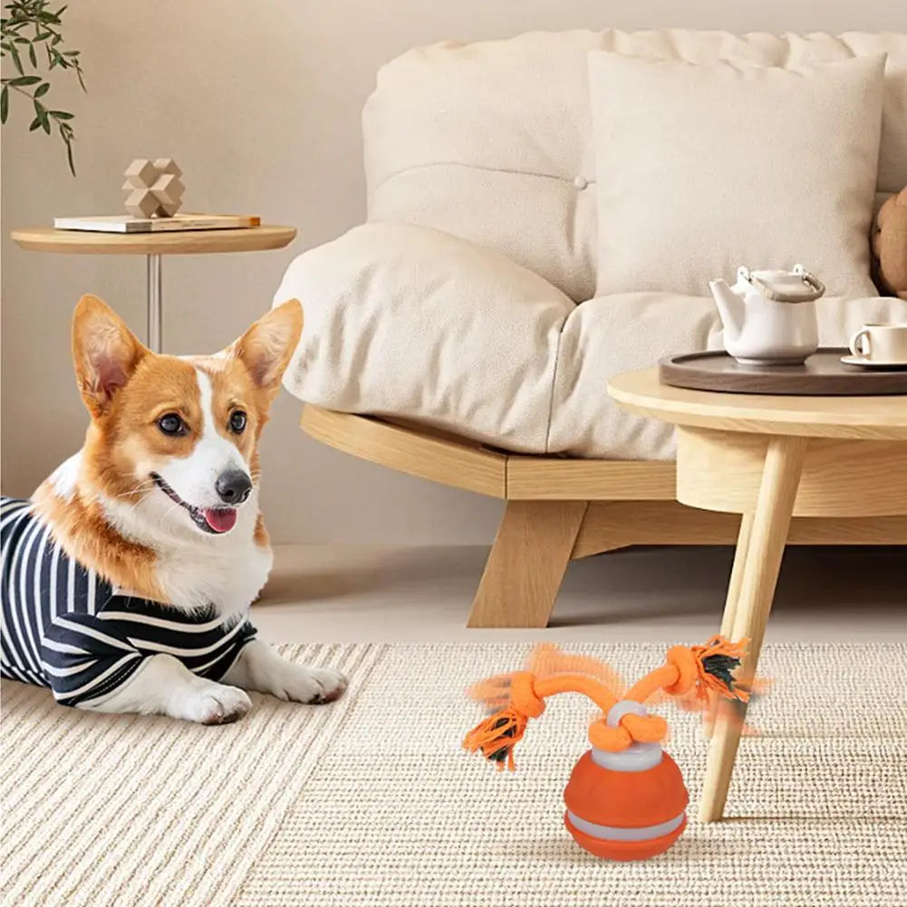 Pet Ball for Dogs Interactive Toys Motion Activate Rolling Ball for Puppy/Small Dogs Automatic Moving Toy USB Rechargeable Toy