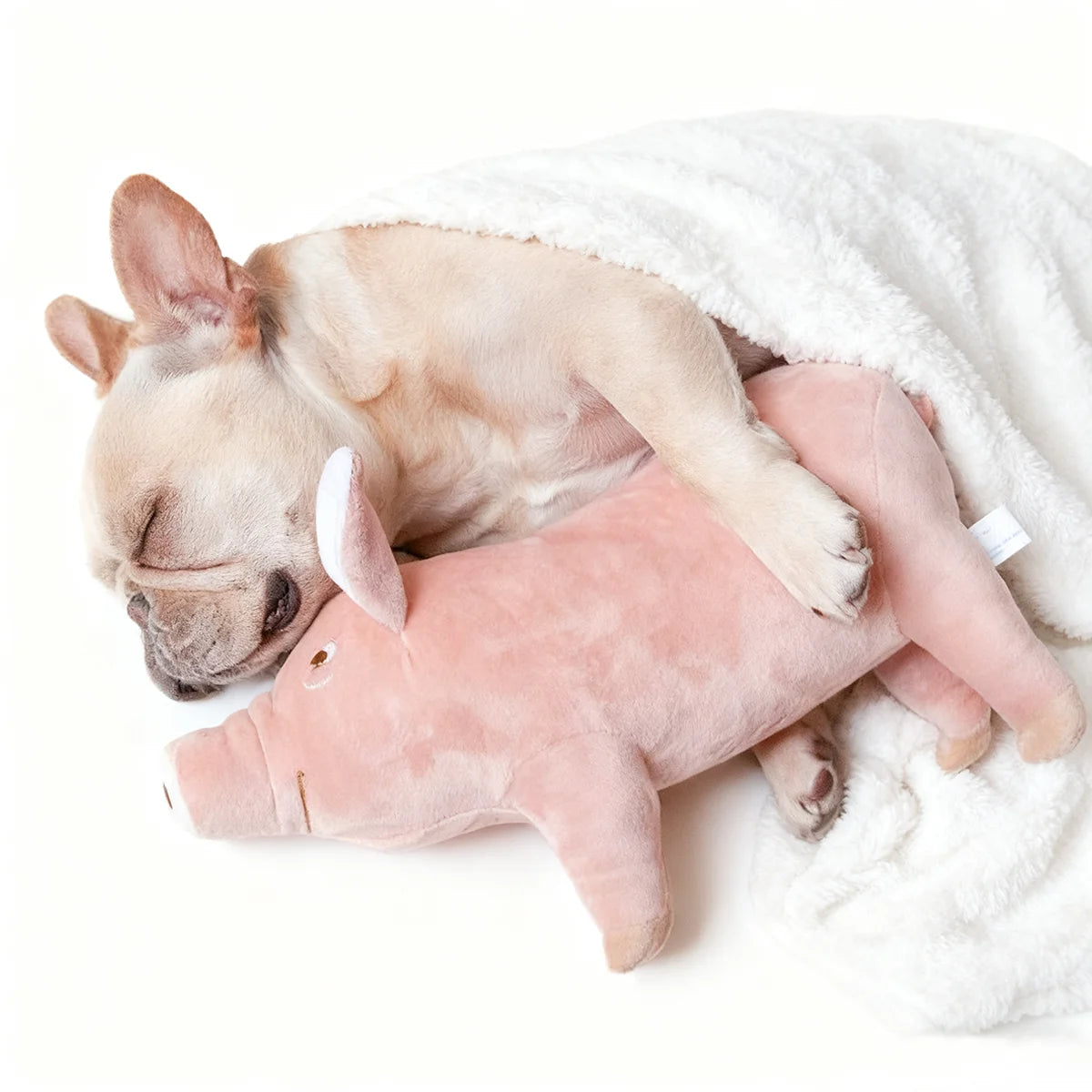 A Cute Pig Design Pet Teeth Grinding Plush Toy, Bite Resistant Interactive Dog Toy Supply