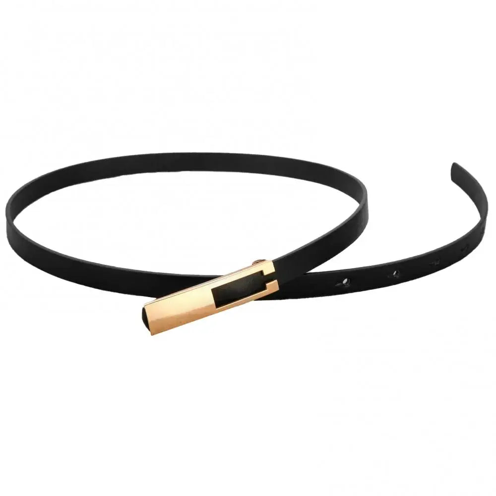 Waistband Accessories Women Faux Leather Belt Strap Slim Metal Buckle Dress Accessories
