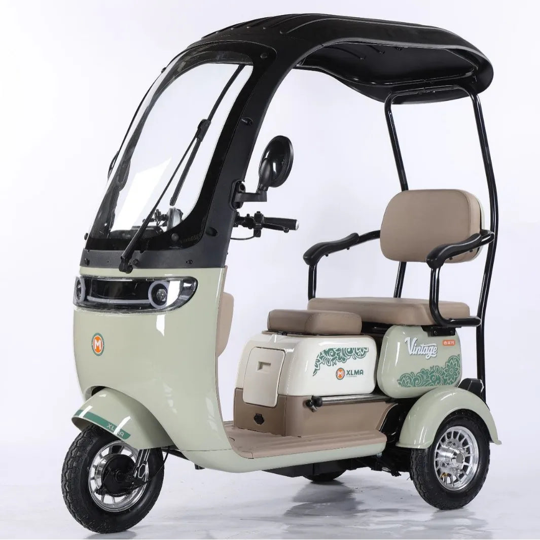 Electric Tricycle, Adult Battery Car, Small Scooter for The Elderly