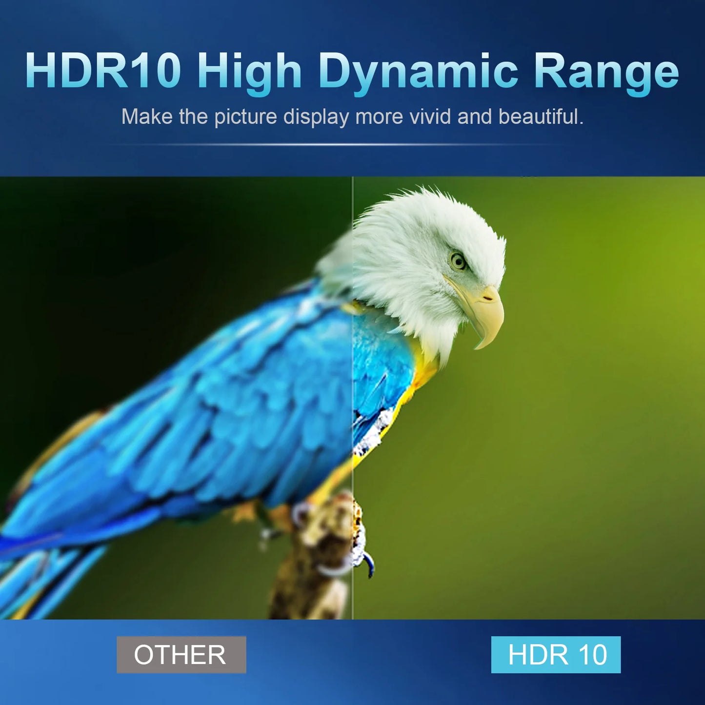 T95Q Smart TV Box Android 11.0 4K UHD 4+32GB 5G WIFI Quad Core Media Player