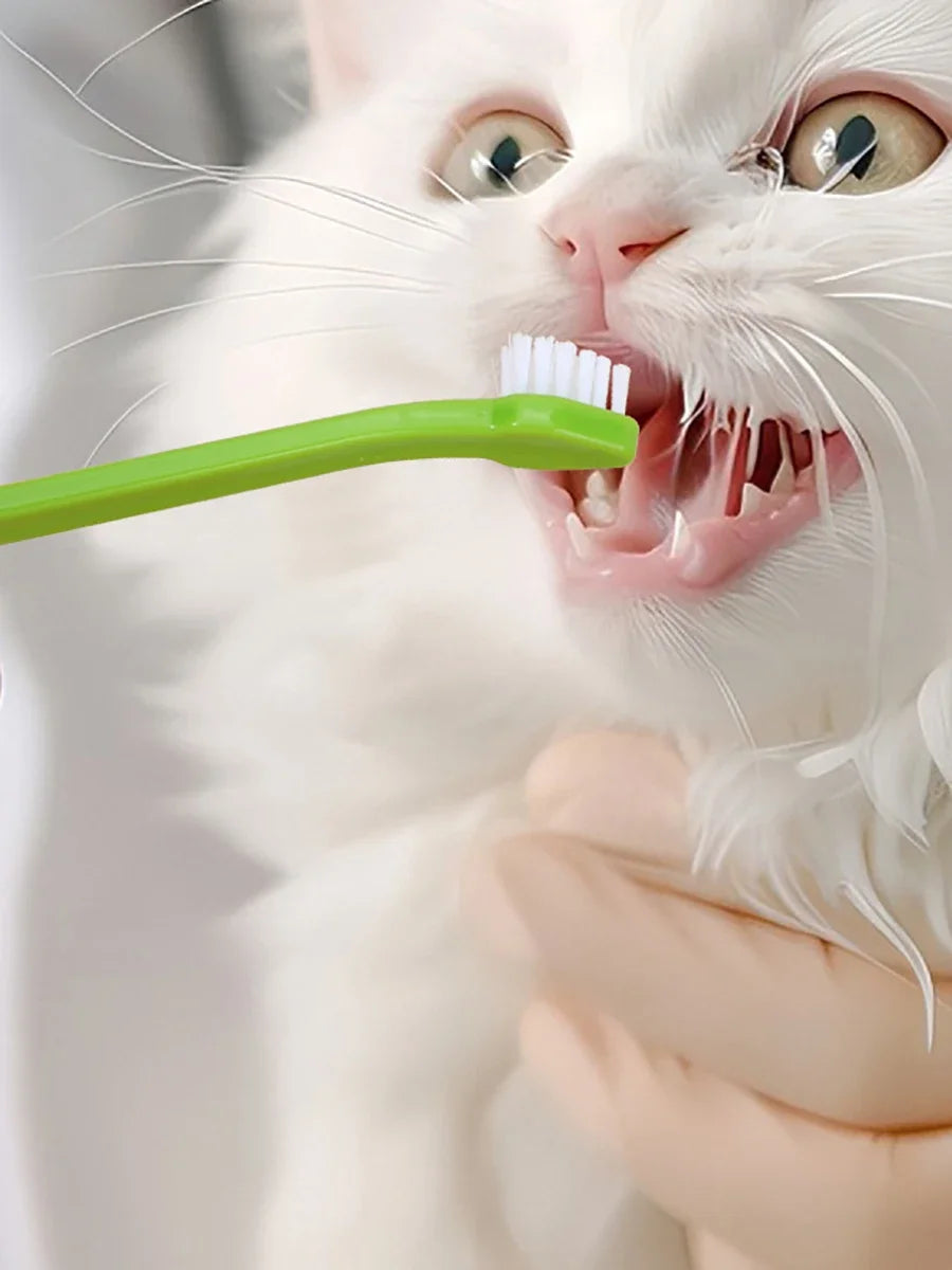 Pet Toothbrush Single Head for Cats Dogs Oral Care Teeth Cleaning Soft Bristles Pet Grooming Tool for Puppy Kitten Pet Supplies